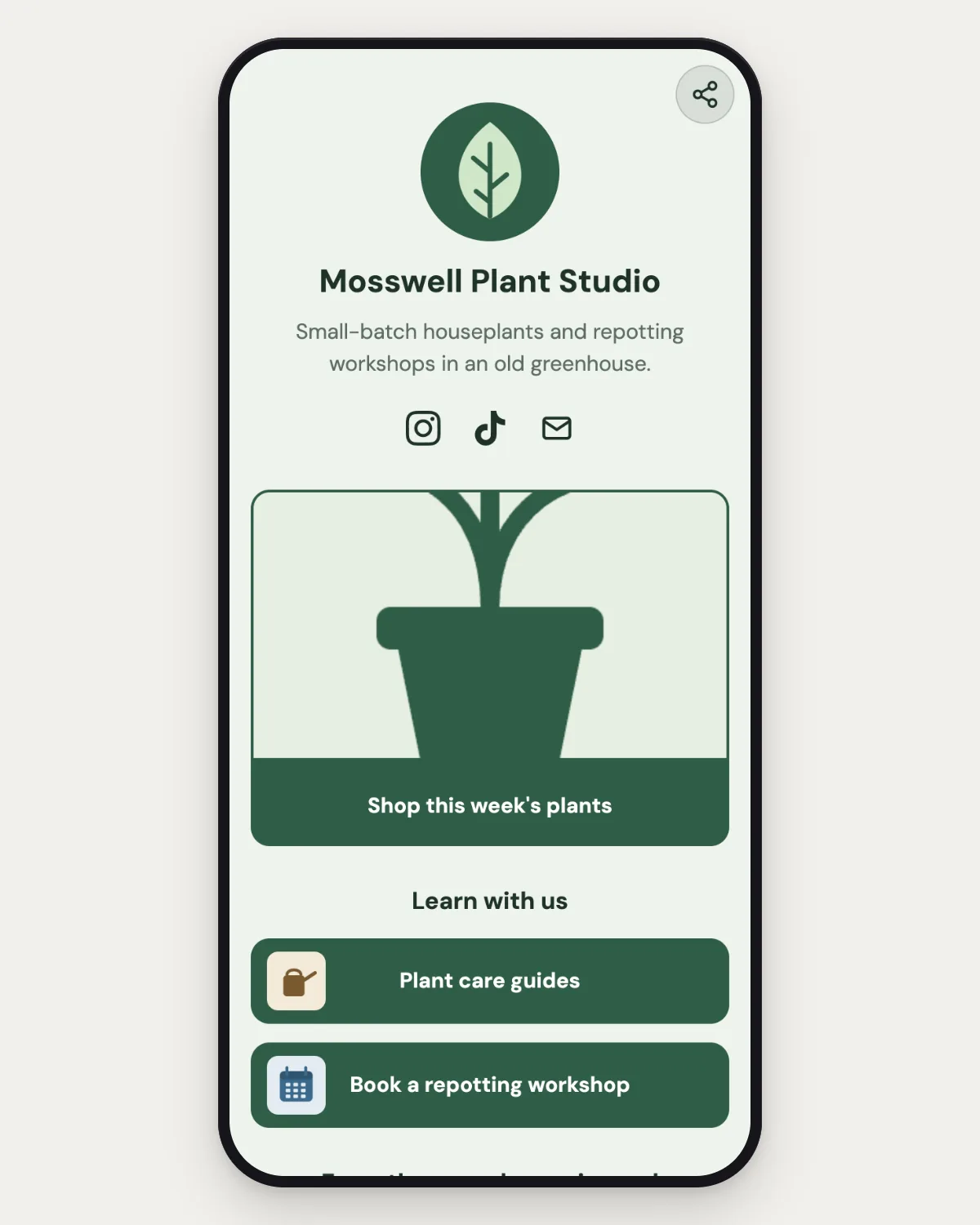 The imported page on a phone: a fictional plant shop with its photo, name, bio, social icons, a featured link with a picture and links with thumbnails, in the original green colours.